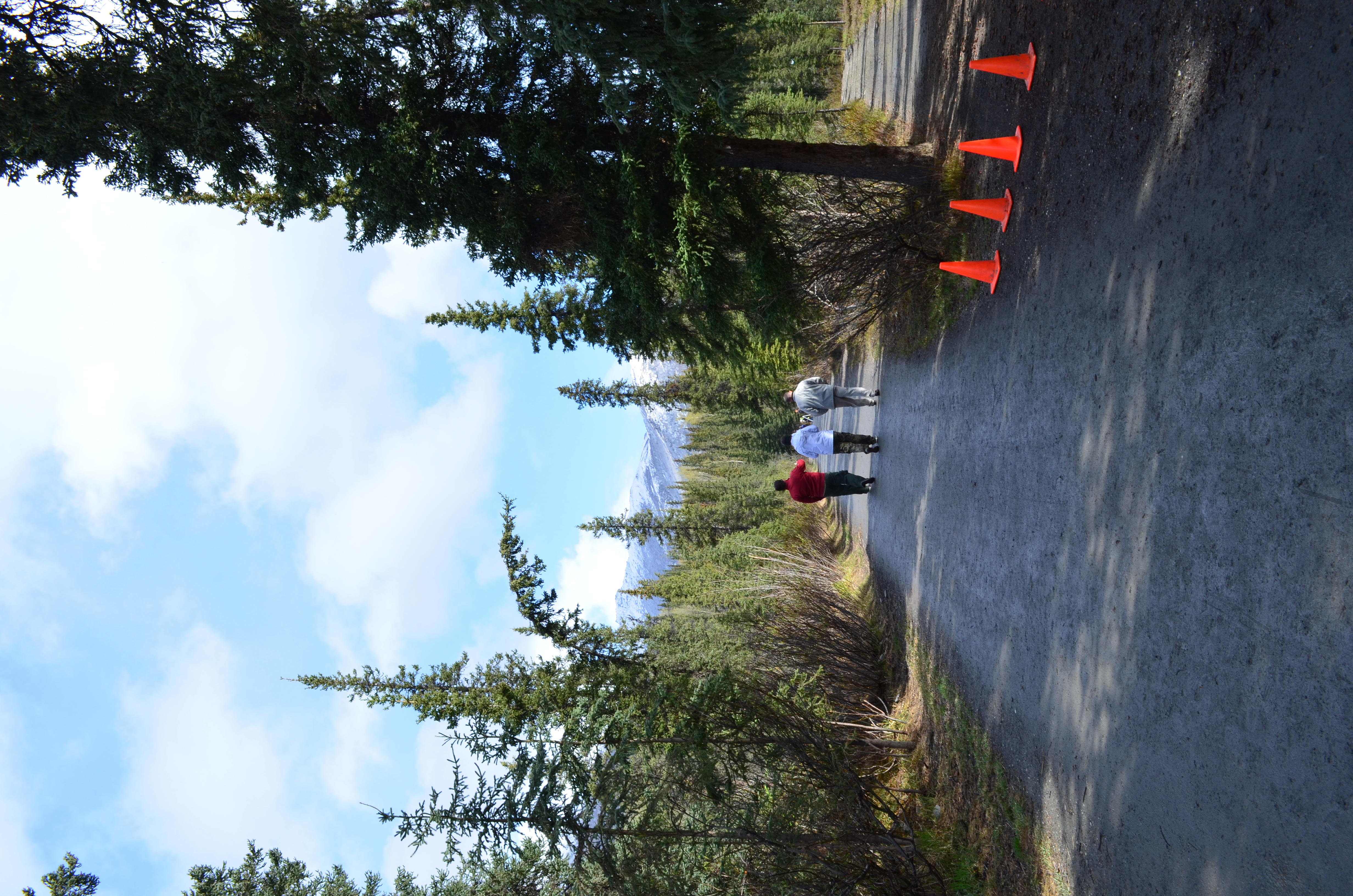 ./2017/08 - Alaska Cruise/03 - Denali/DSC_0316.JPG